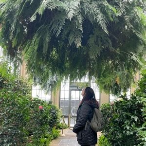 Meet your Posher, Joao